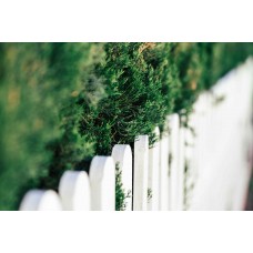 Zaun und Sichtschutz selber bauen - Tipps und kreative Lösungen